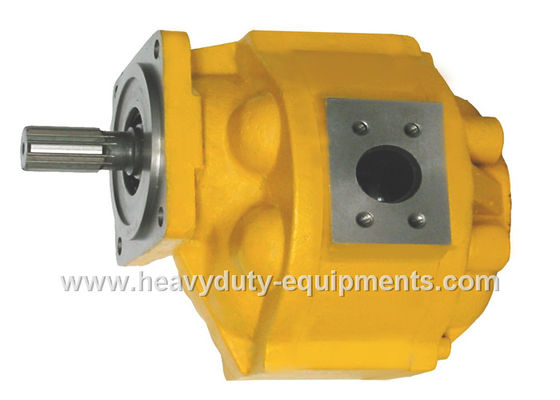 Çin Hydraulic oil pump 1010000019 for Zoomlion crane with warranty Tedarikçi