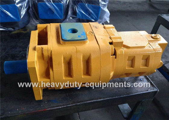 Çin Hydraulic gear pump 1010000007 for Zoomlion crane with warranty Tedarikçi