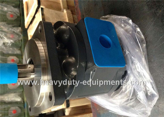 Çin Engineering Construction Equipment Spare Parts Industrial Hydraulic Pumps LW280 WZ3025 51 Shaft Extension Tedarikçi